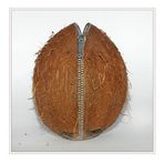 coconut with zip