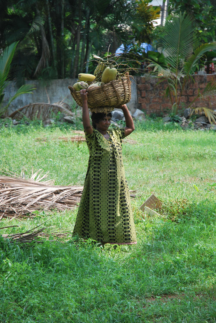 Coconut Woman