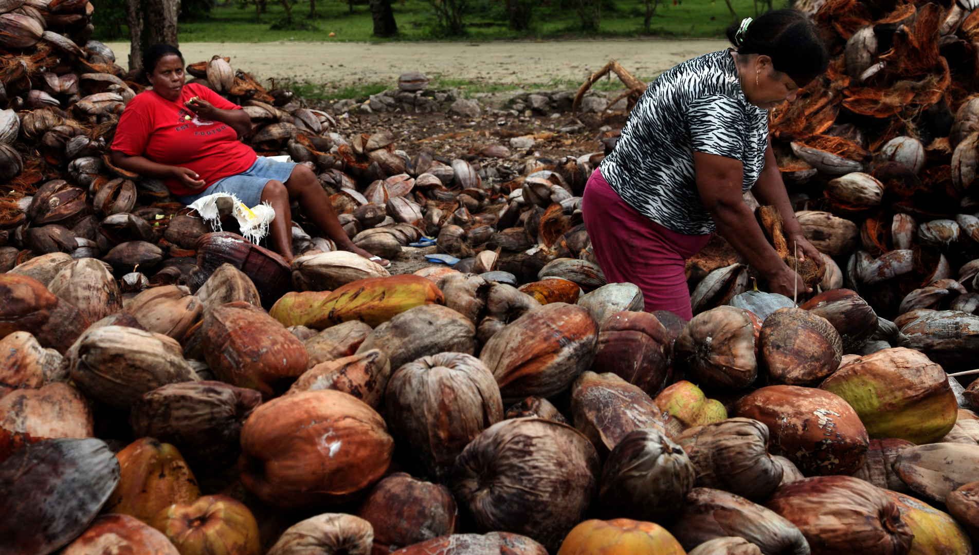 Coconut women