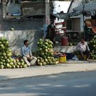 coconuts