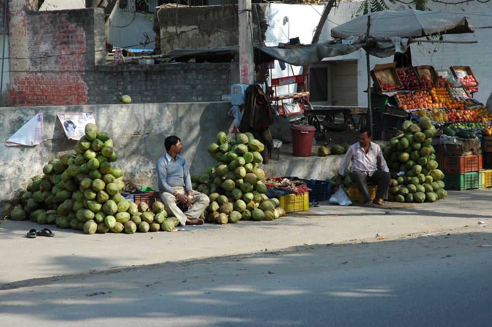 coconuts