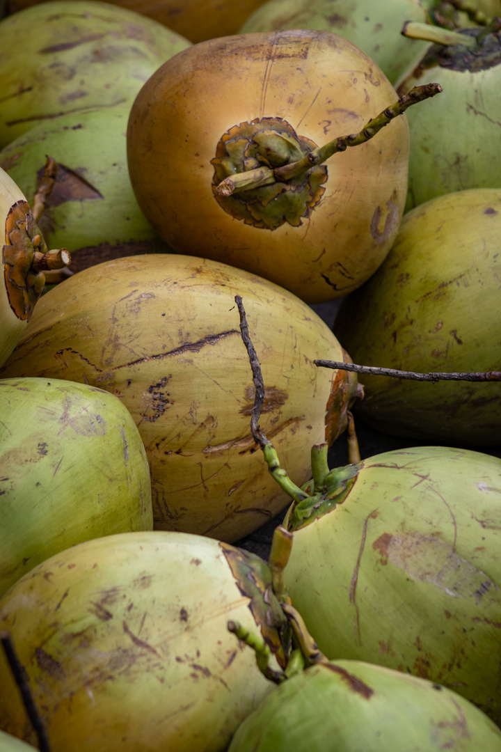 Coconuts