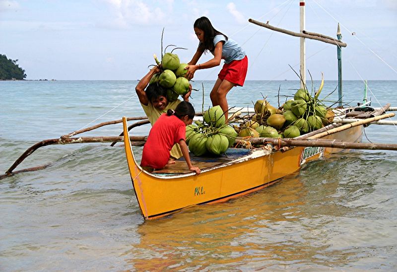 Coconuts delivery