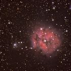 Cocoon Nebel IC 5146