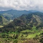 Cocora Tal