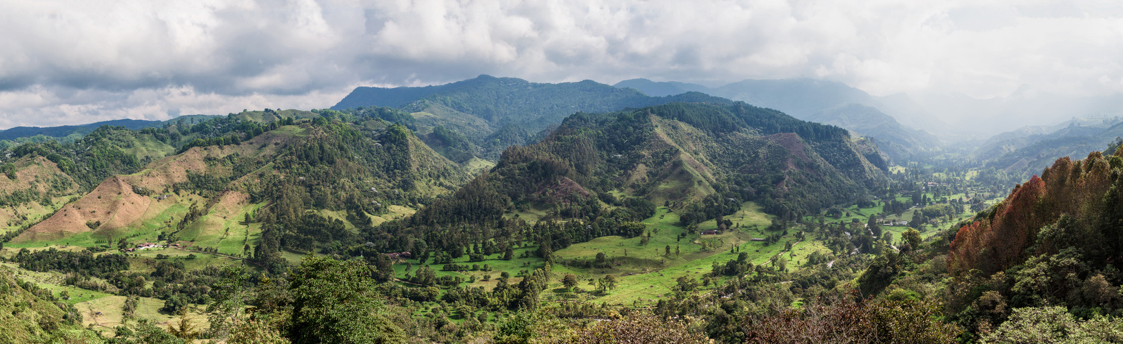 Cocora Tal