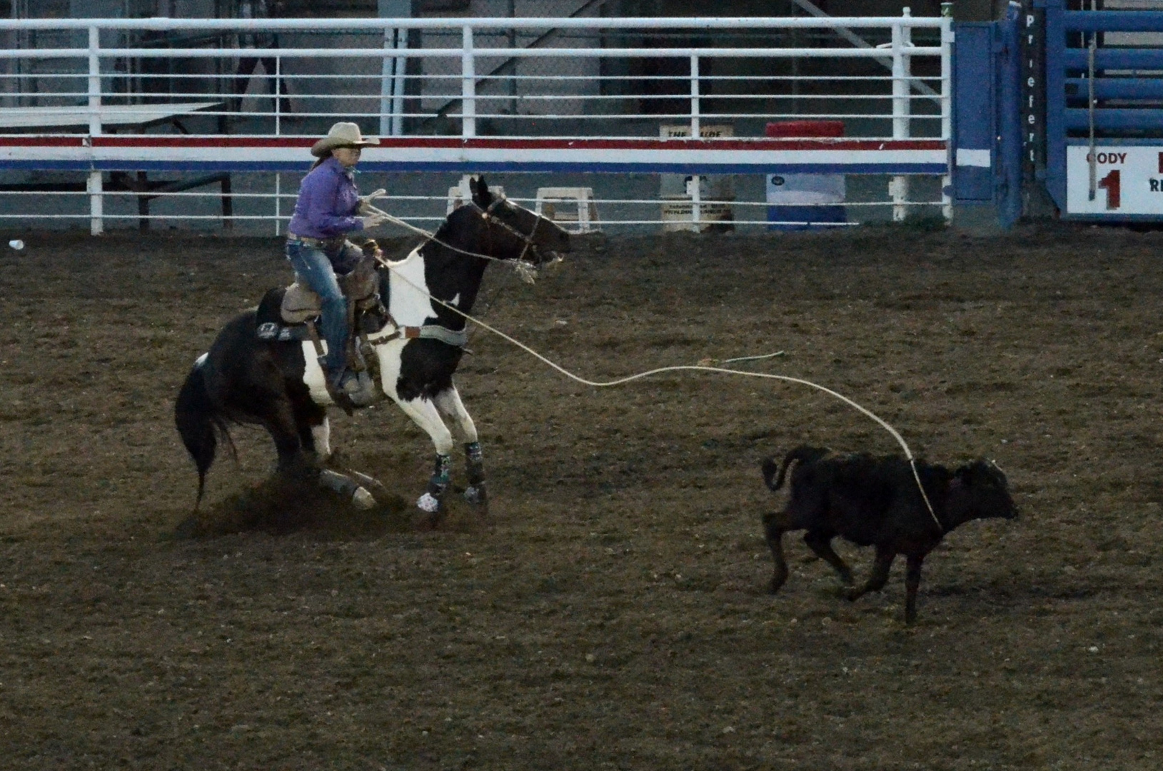 Cody Wyoming - Rodeo Capital of the World