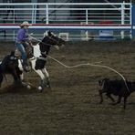 Cody Wyoming - Rodeo Capital of the World