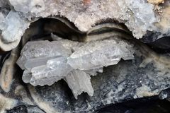 Coelestin, Baryt und Calcit in Macrocephalites aus Reutlingen