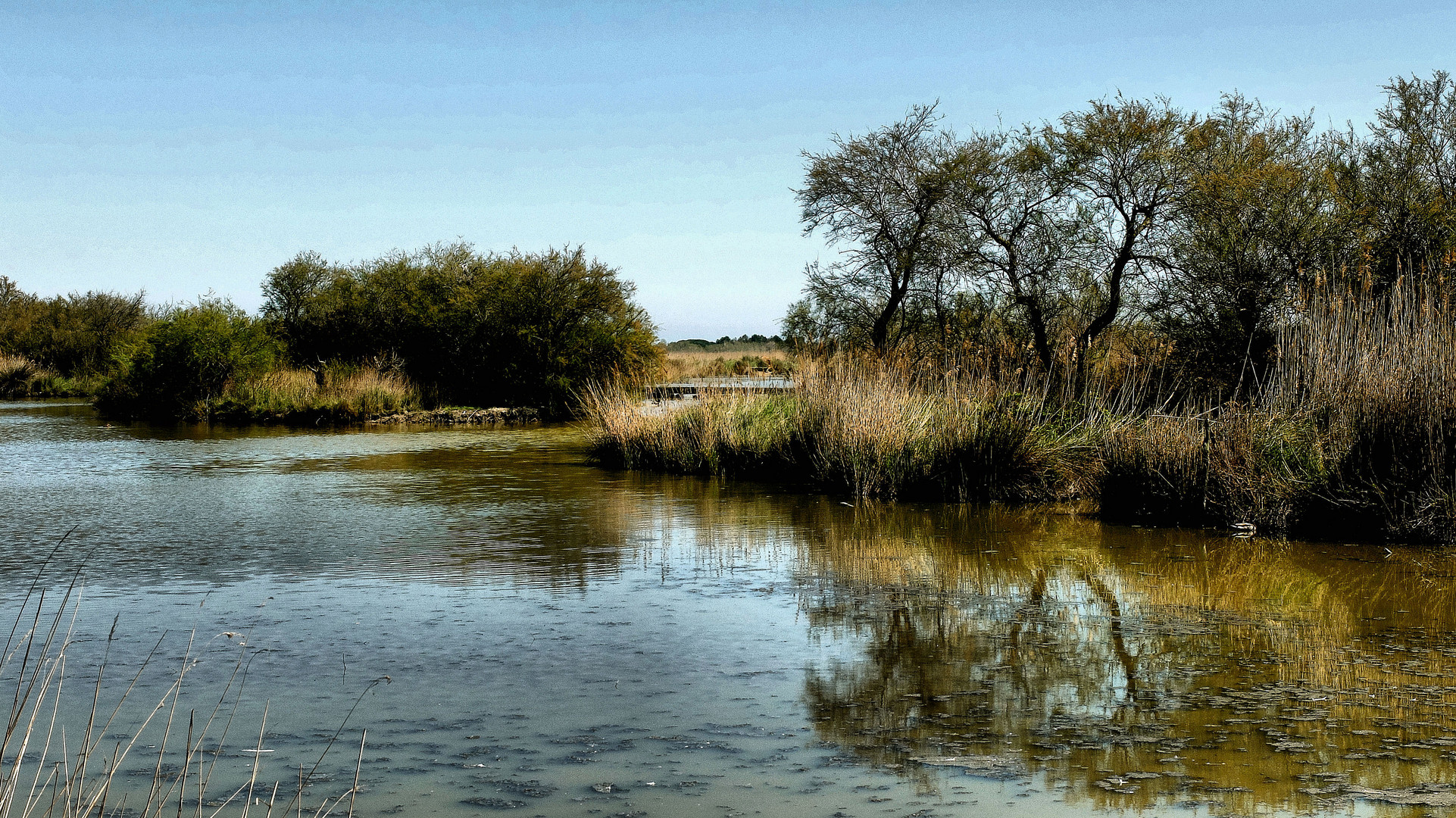 Coeur-Camargue