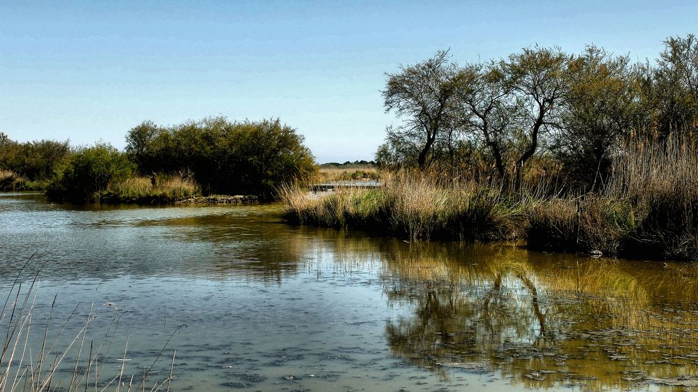 Coeur-Camargue