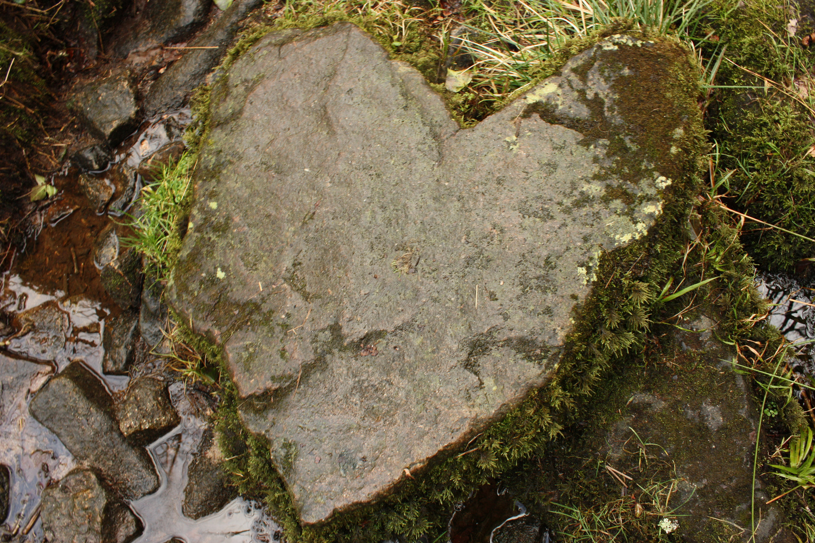 Coeur de pierre...