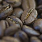 Coffee beans