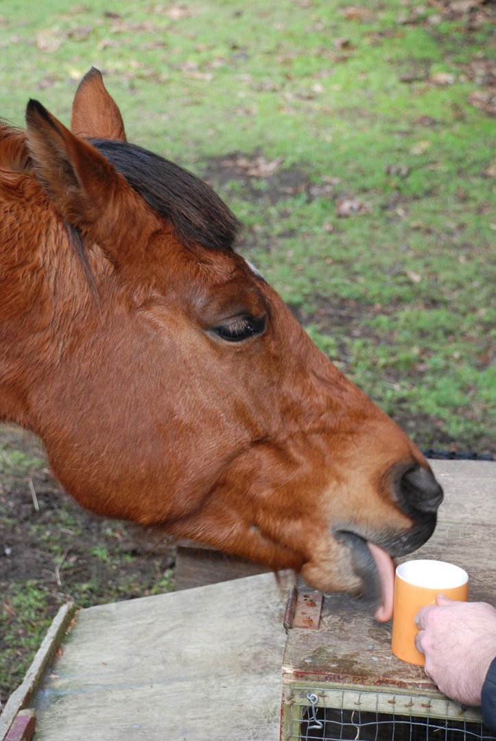 Coffee break