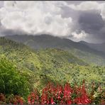 coffee & clouds - bluemountains