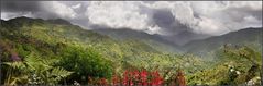 coffee & clouds - bluemountains