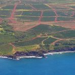 Coffee Fields meet Ocean