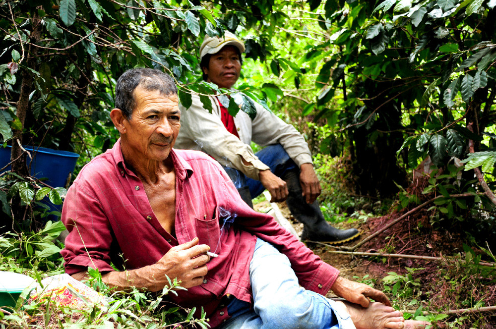 Coffee Growers