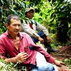 Coffee Growers