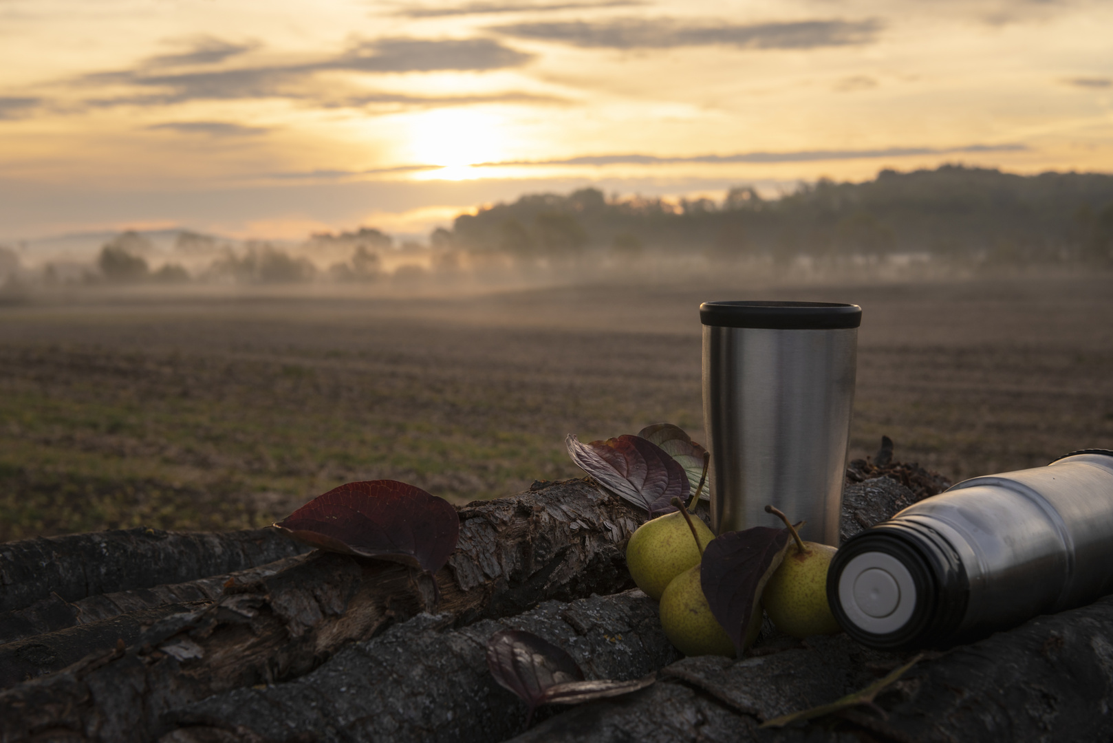 Coffee in a thermos on logs at sunrise