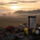 Coffee in a thermos on logs at sunrise