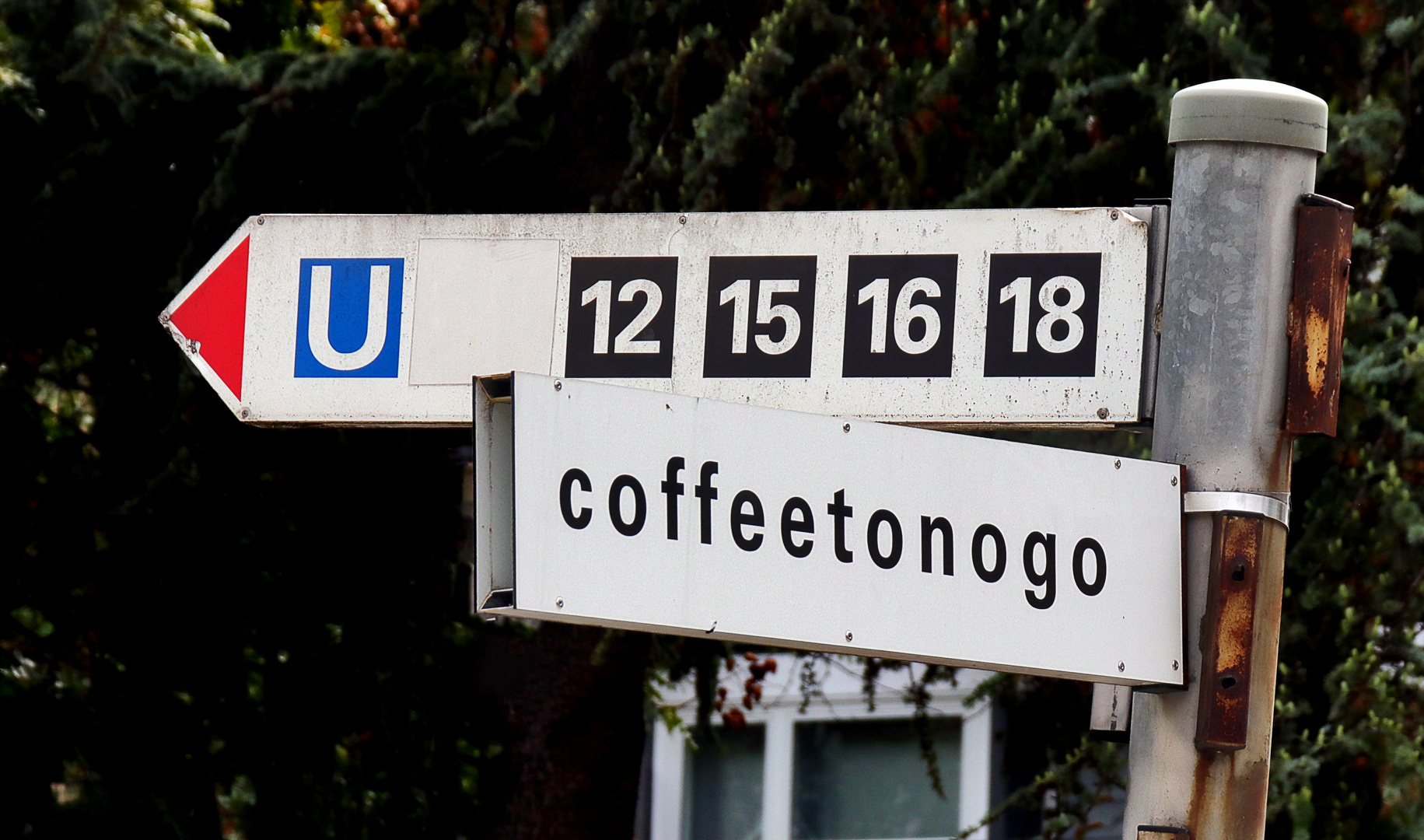 coffeetonogo....