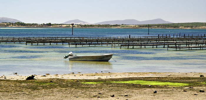 Coffin Bay