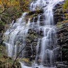 coglio valle maggia cascata