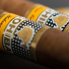 cohiba