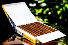 Cohiba opened