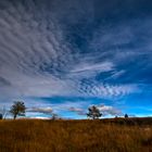 coiffed sky over Hornisgrinde