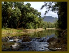 Coin de baignade à la rivière