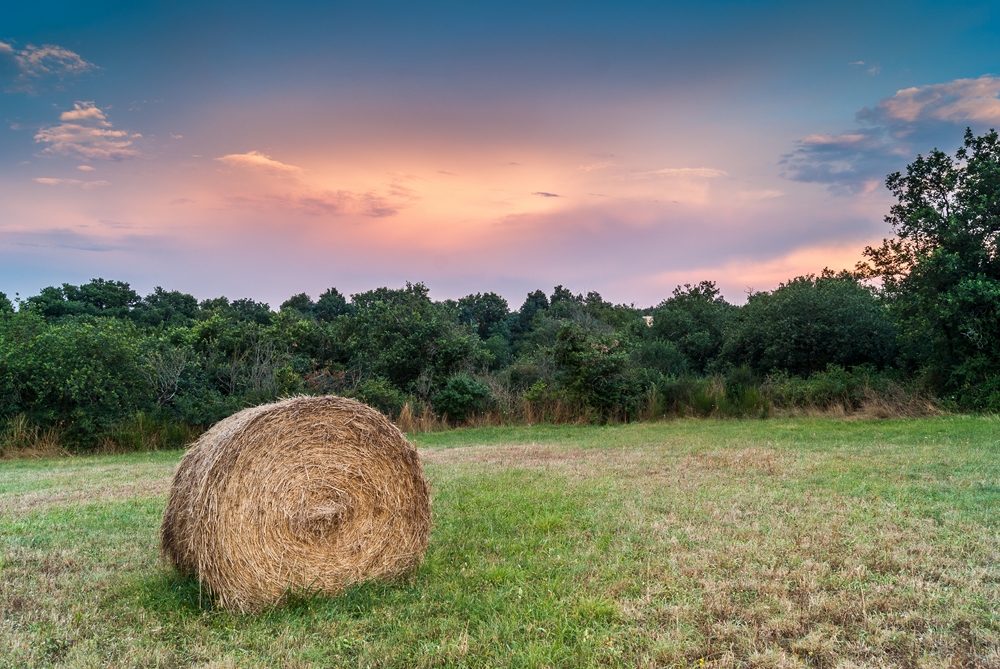 coin de campagne