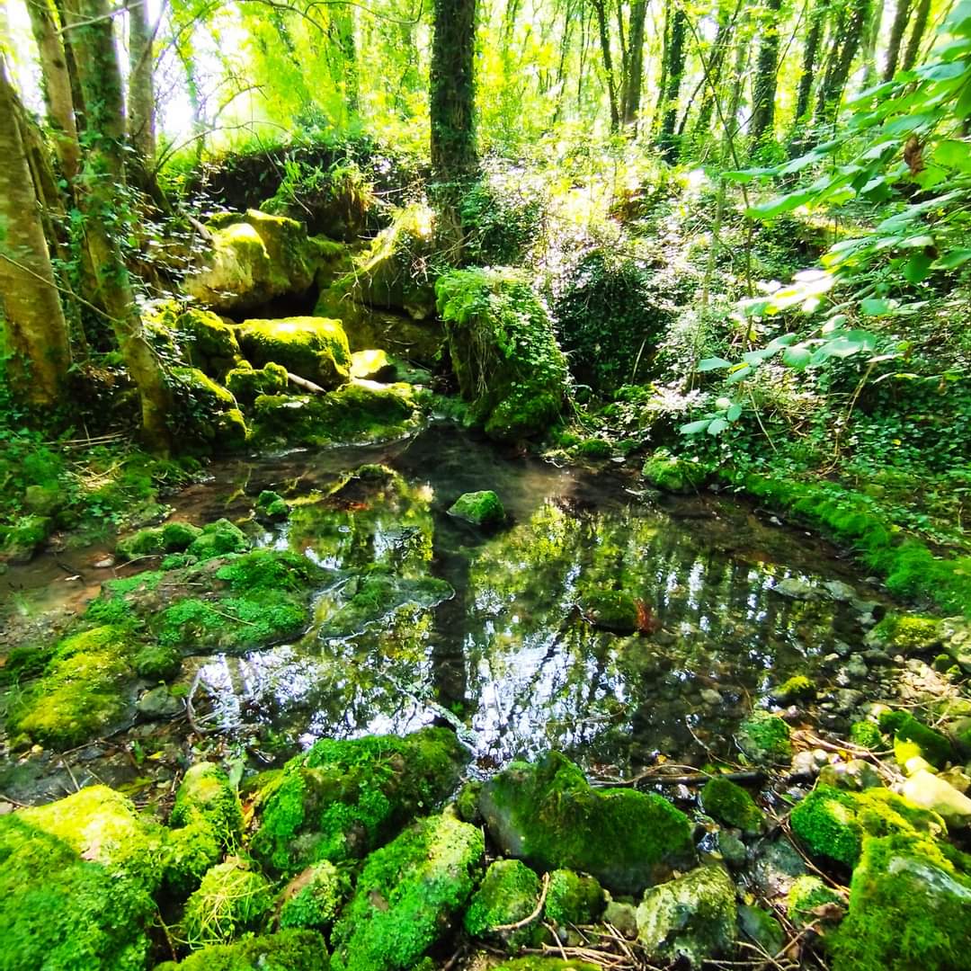 Coin de fraicheur 