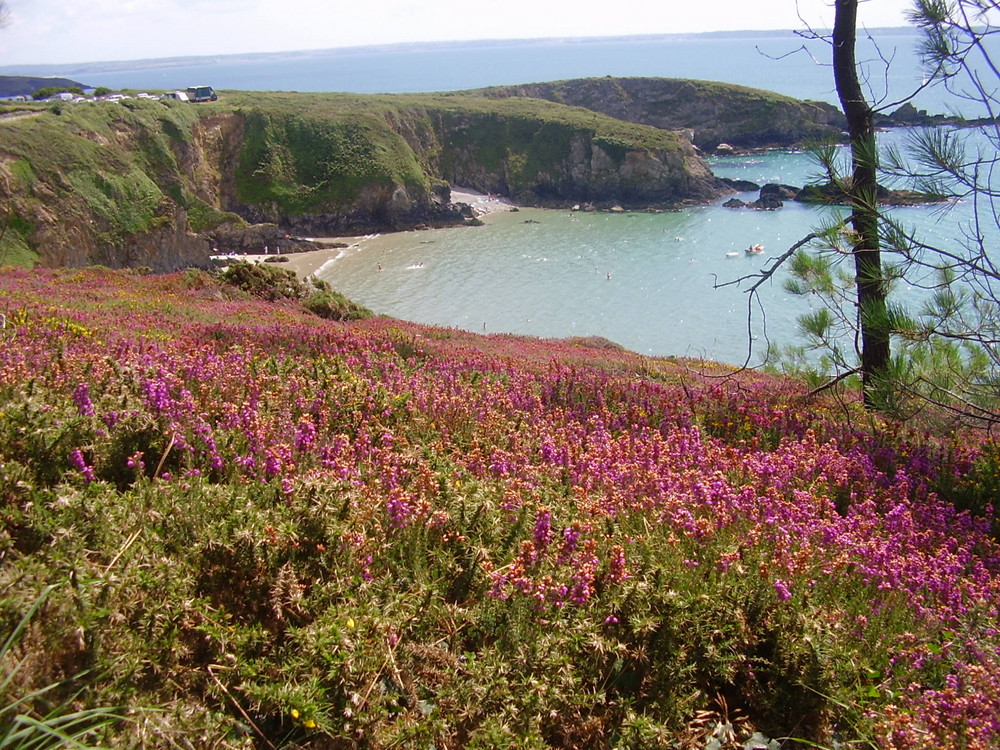 Coin de Paradie En Bretagne !