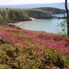 Coin de Paradie En Bretagne !