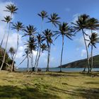 coin de paradis à BEQUIA