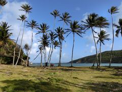 coin de paradis à BEQUIA