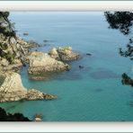 Coin de Paradis Breton .......