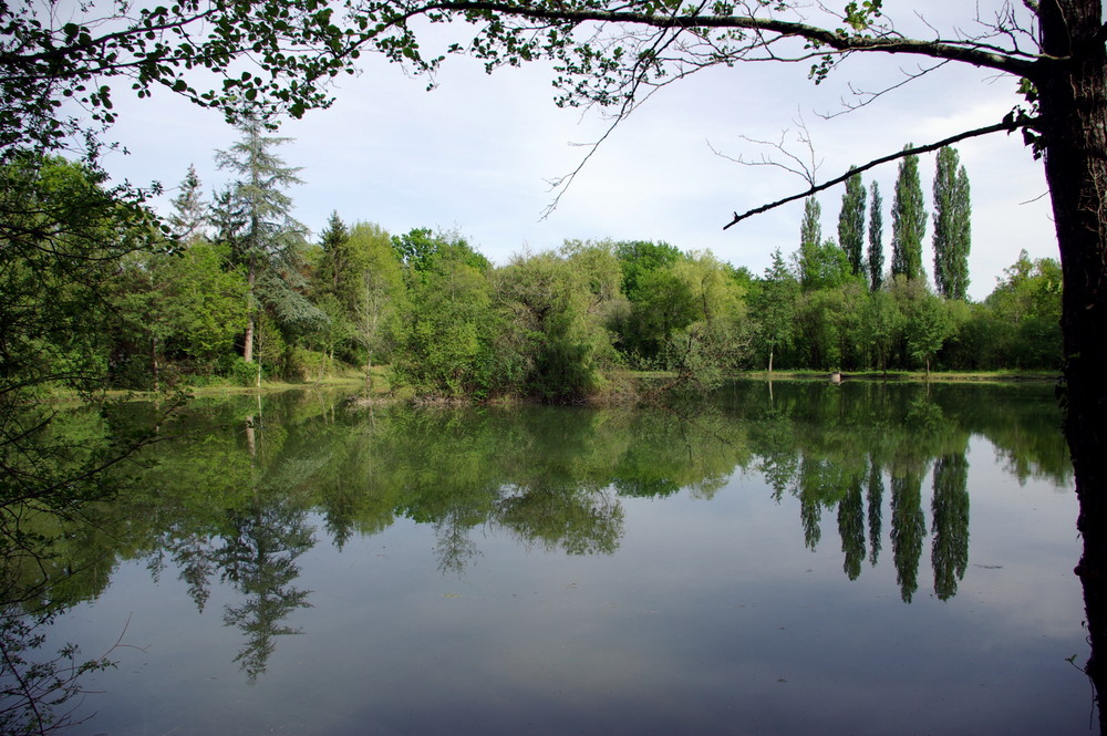 Coin de Pêche