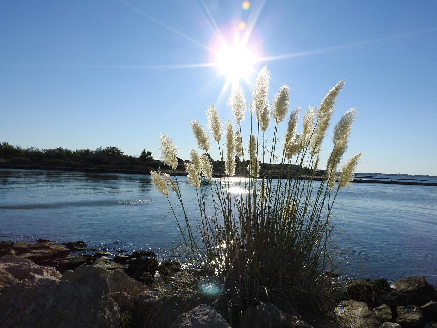 coin des pêcheurs à la grande motte