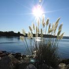 coin des pêcheurs à la grande motte