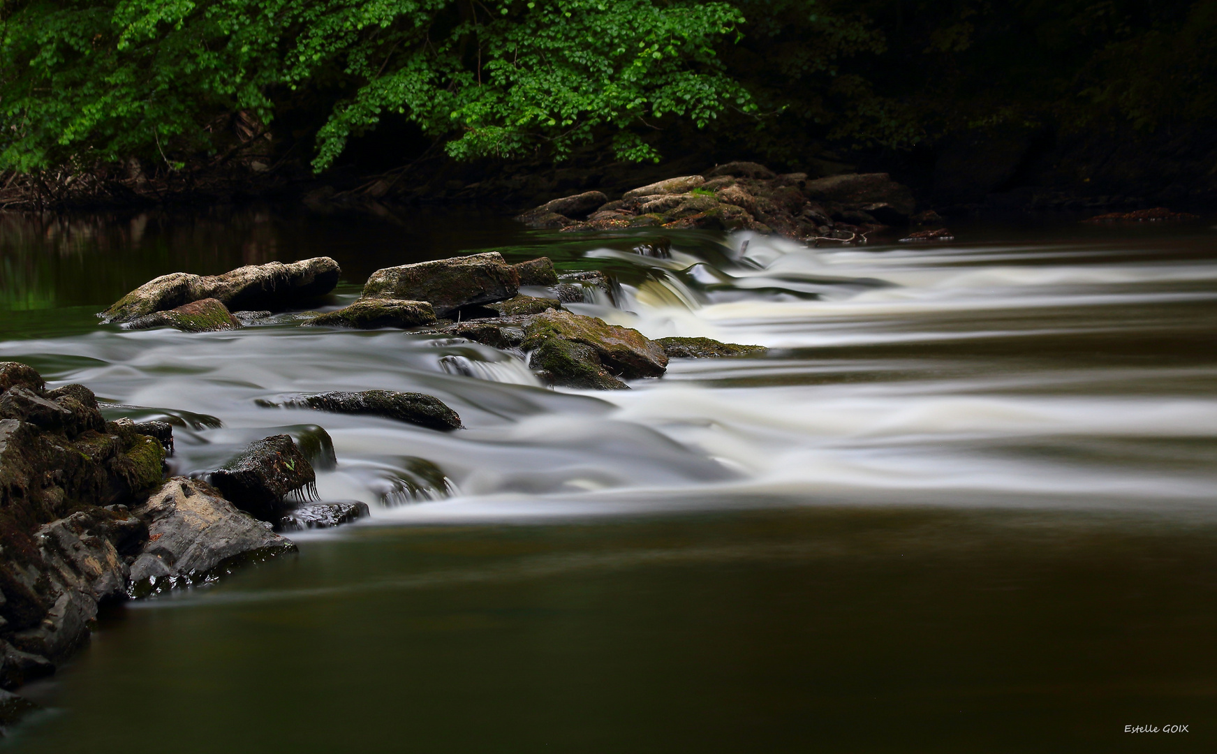 Coin sauvage de Creuse