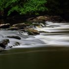 Coin sauvage de Creuse