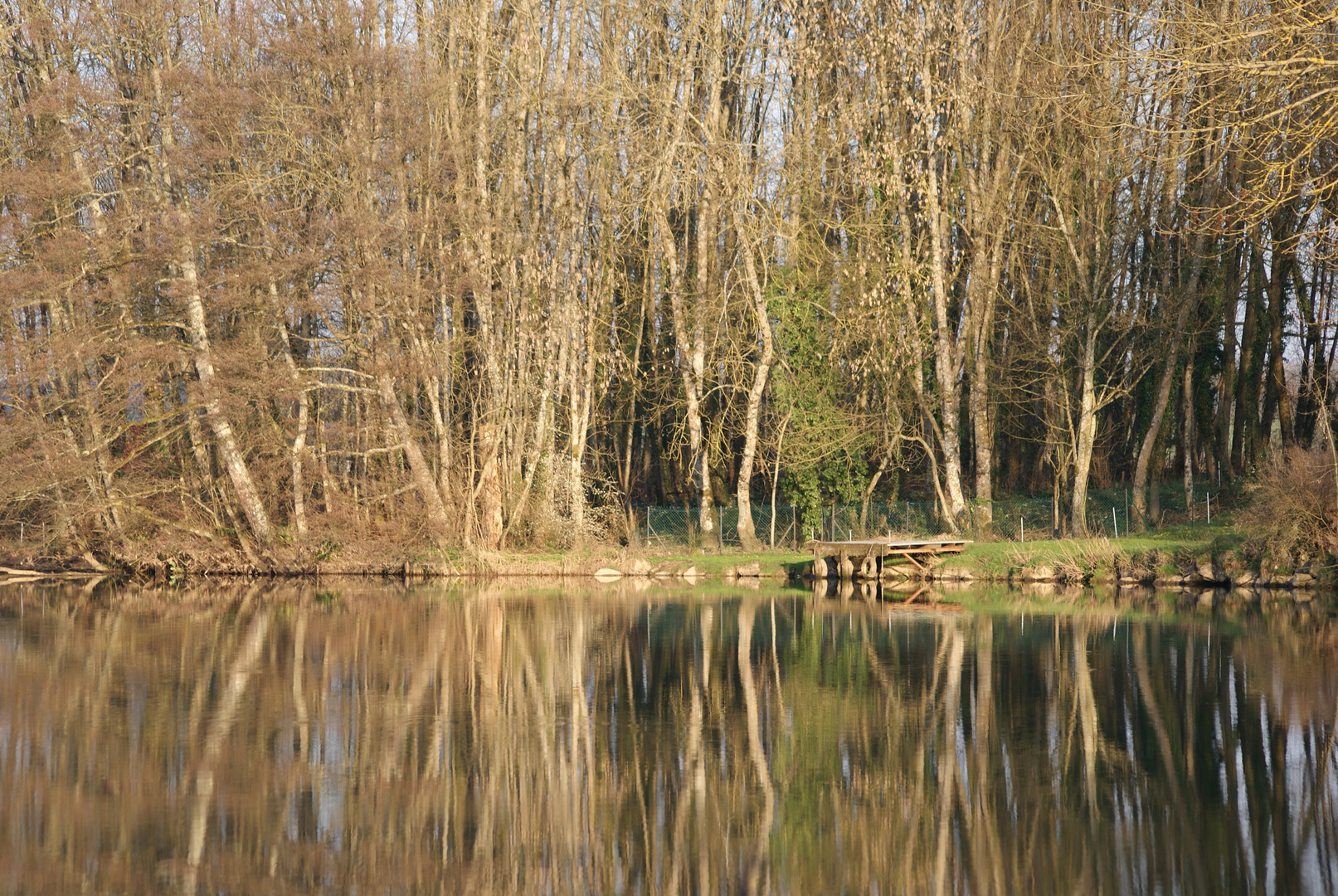 Coin tranquille au bord de la Saône