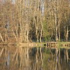 Coin tranquille au bord de la Saône