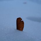 Coincé dans la neige