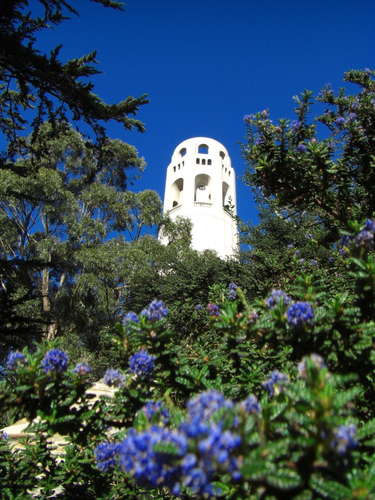 COIT TOWER