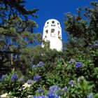 COIT TOWER