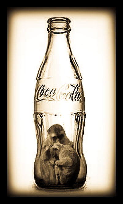 Coke Ape